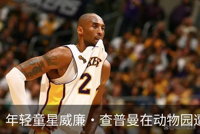 年轻童星威廉·查普曼在动物园遭虎袭身亡，疑似心理健康问题